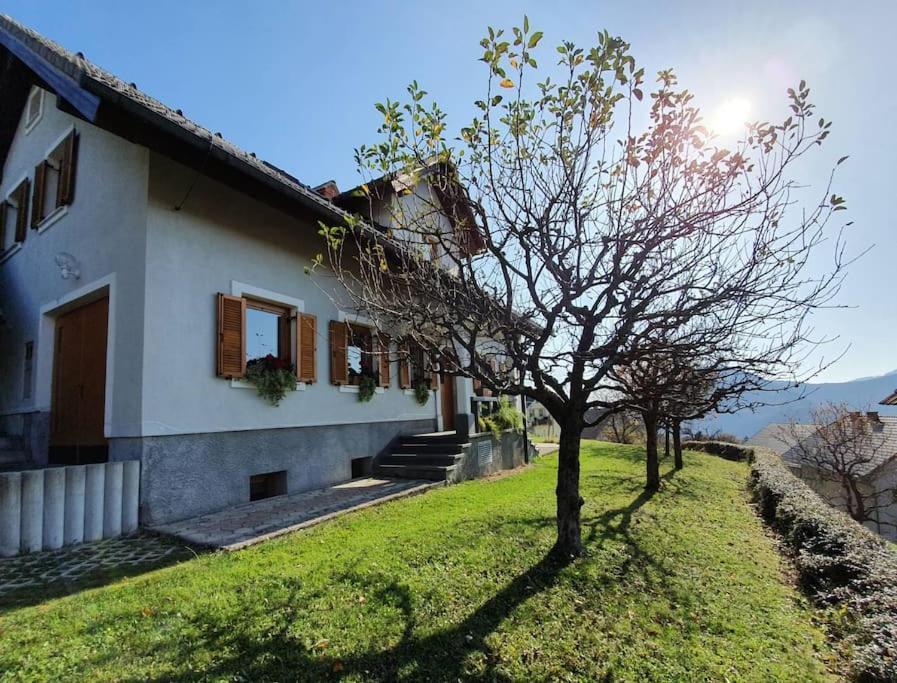 House Pucnk-Beautiful Countryside Villa Zelezniki Eksteriør bilde