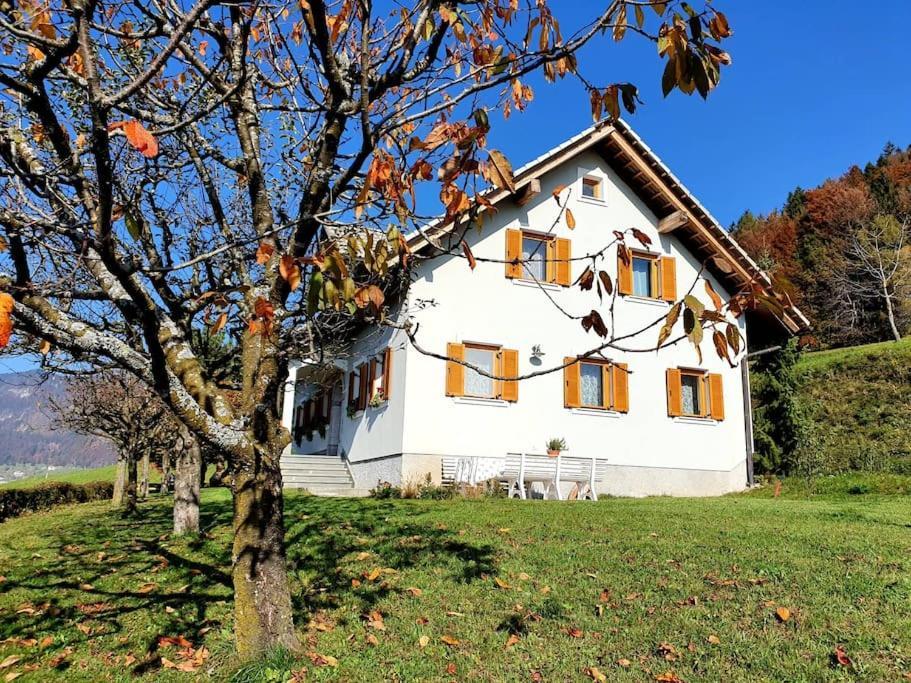 House Pucnk-Beautiful Countryside Villa Zelezniki Eksteriør bilde