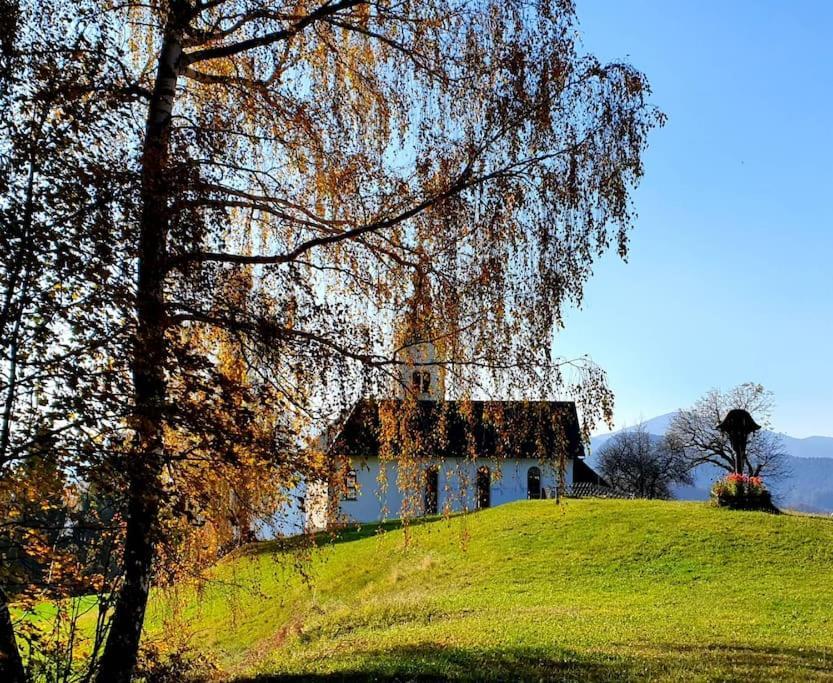 House Pucnk-Beautiful Countryside Villa Zelezniki Eksteriør bilde